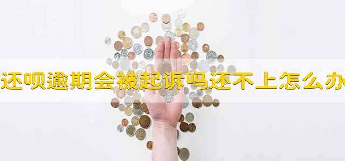 还呗逾期会被起诉吗?真还不上怎么办