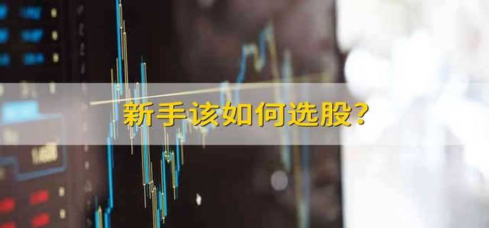 新手该如何选股?