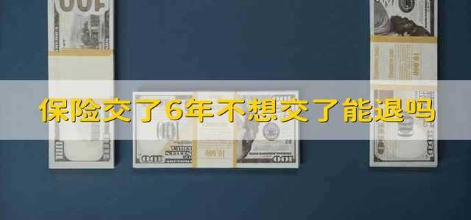 保险交了6年不想交了能退吗