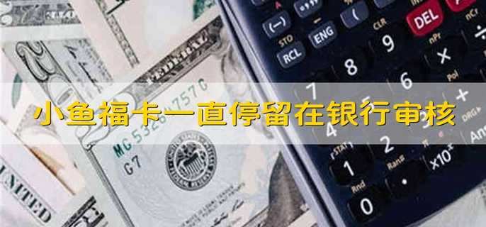 小鱼福卡一直停留在银行审核