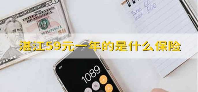 湛江59元一年的是什么保险