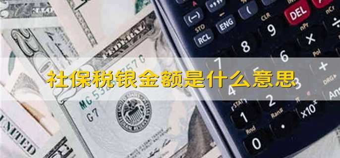 社保税银金额是什么意思