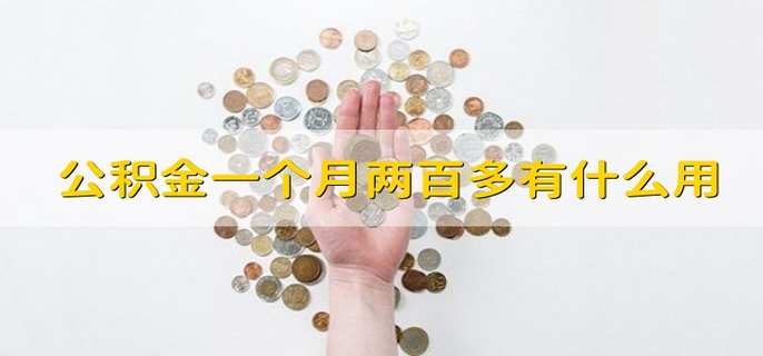 公积金一个月两百多有什么用