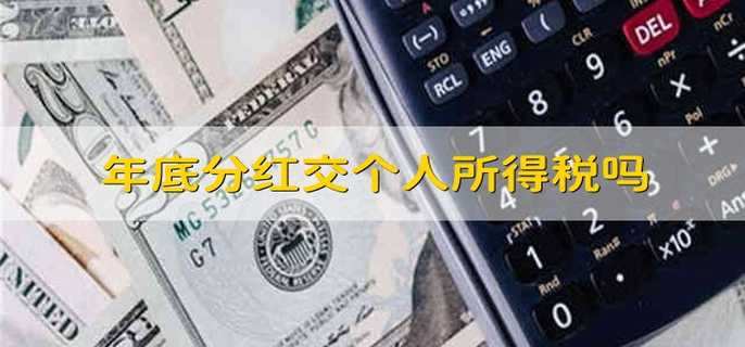 年底分红交个人所得税吗