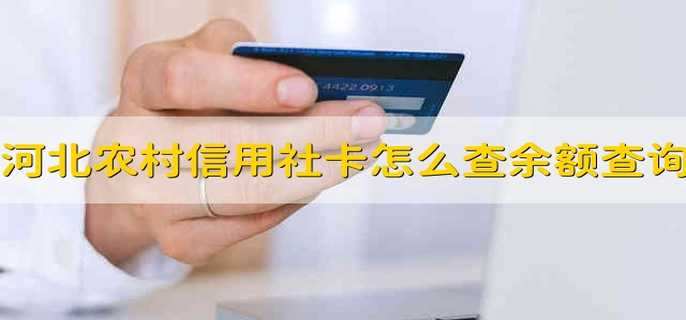 河北农村信用社卡怎么查余额查询
