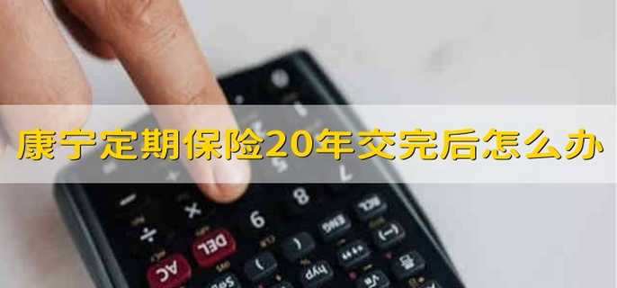 康宁定期保险20年交完后怎么办