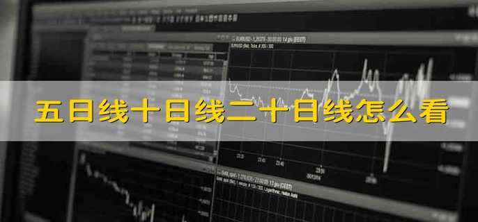 五日线十日线二十日线怎么看