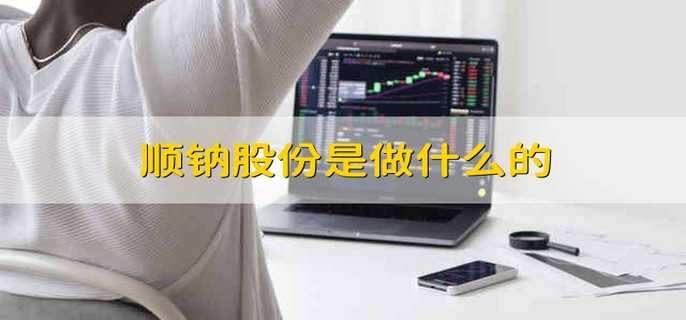顺钠股份是做什么的