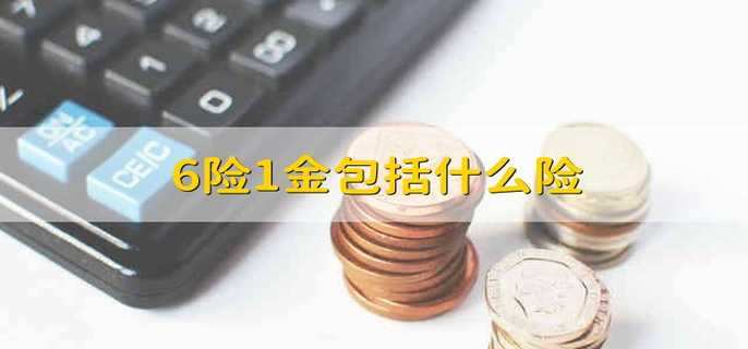 6险1金包括什么险