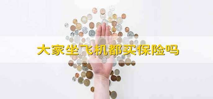 大家坐飞机都买保险吗