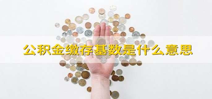 公积金缴存基数是什么意思