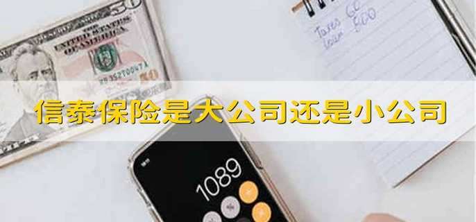 信泰保险是大公司还是小公司