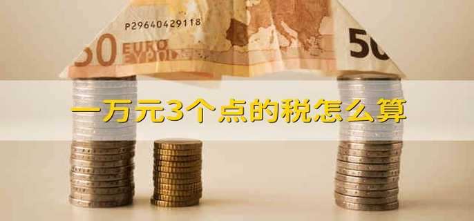 一万元3个点的税怎么算