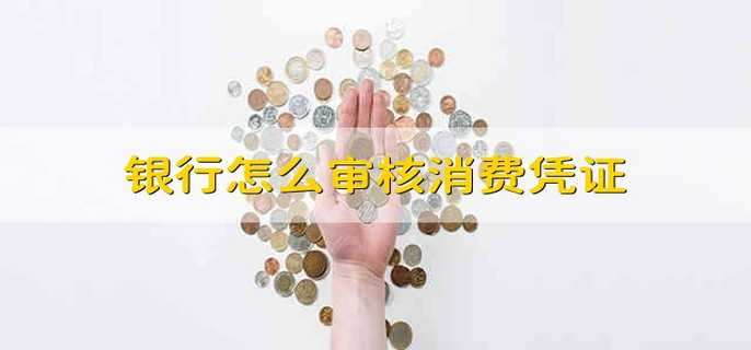 银行怎么审核消费凭证