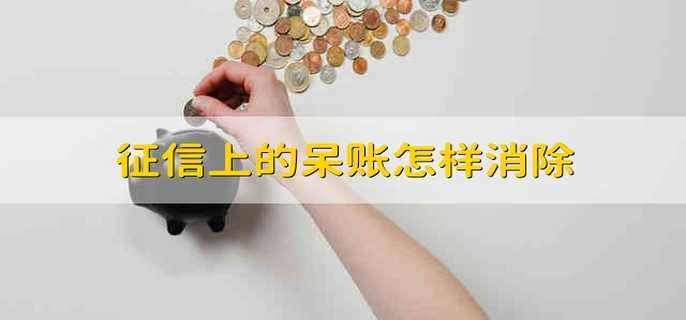 征信上的呆账怎样消除