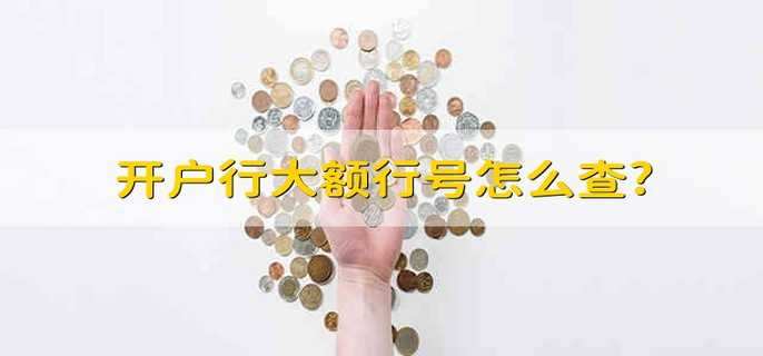 开户行大额行号怎么查?