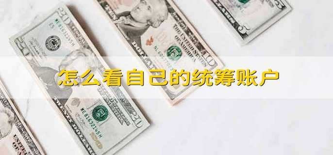 怎么看自己的统筹账户