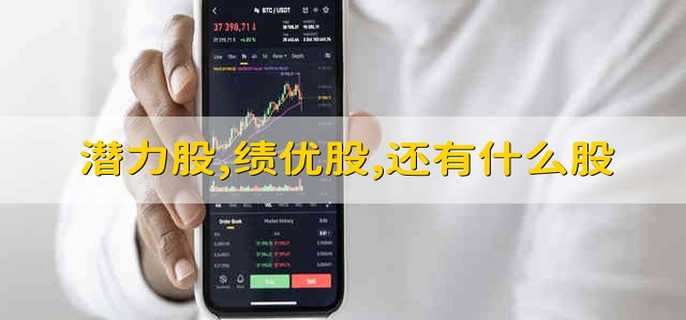 潜力股,绩优股,还有什么股