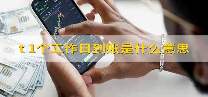 t+1个工作日到账是什么意思