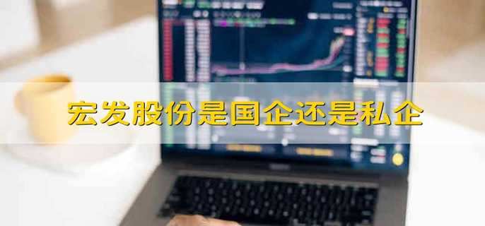 宏发股份是国企还是私企