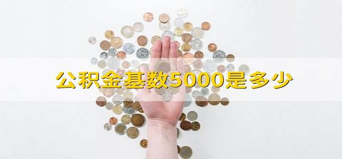 公积金基数5000是多少 工资5000公积金基数是多少