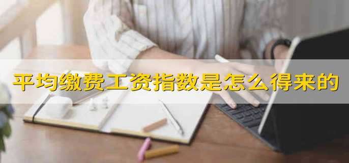 本人平均缴费工资指数是怎么得来的