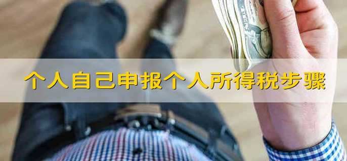 个人自己申报个人所得税步骤