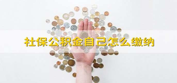 社保公积金自己怎么缴纳