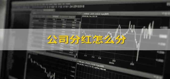 公司分红怎么分