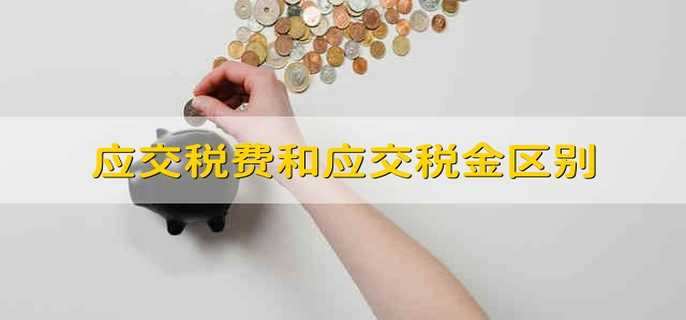 应交税费和应交税金区别