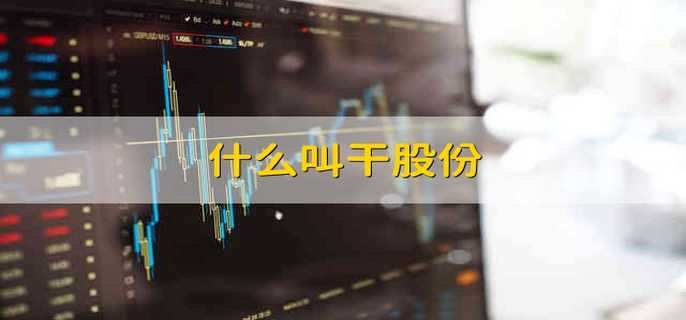 什么叫干股份
