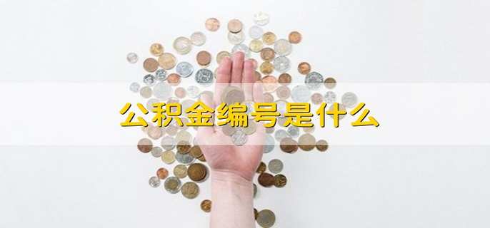 公积金编号是什么