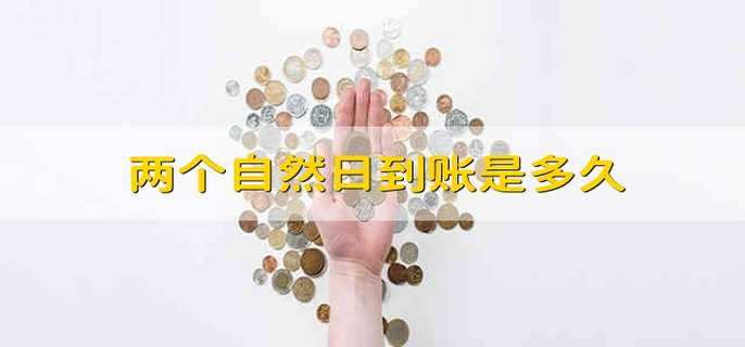 两个自然日到账是多久