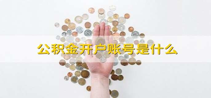 公积金开户账号是什么