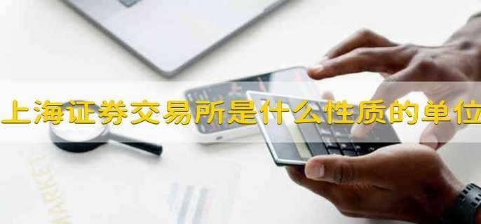 上海证券交易所是什么性质的单位