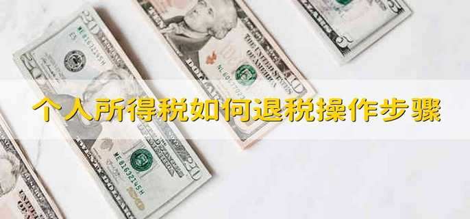 个人所得税如何退税操作步骤