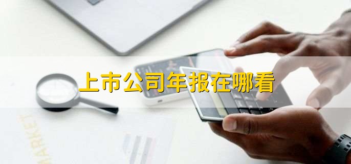 上市公司年报在哪看