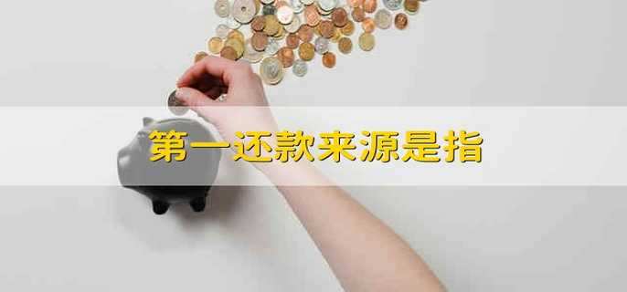 第一还款来源是指