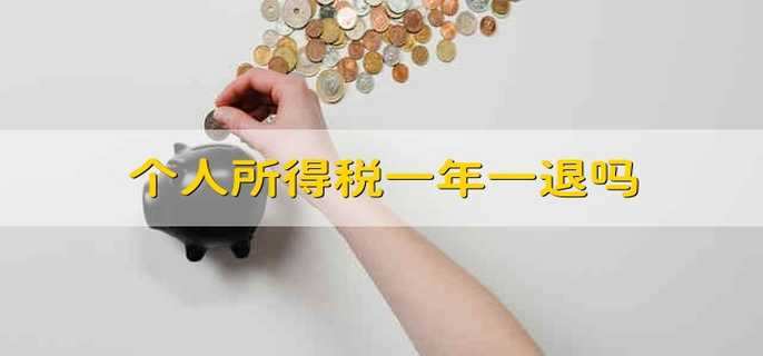 个人所得税一年一退吗