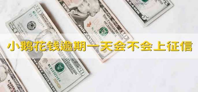 小鹅花钱逾期一天会不会上征信