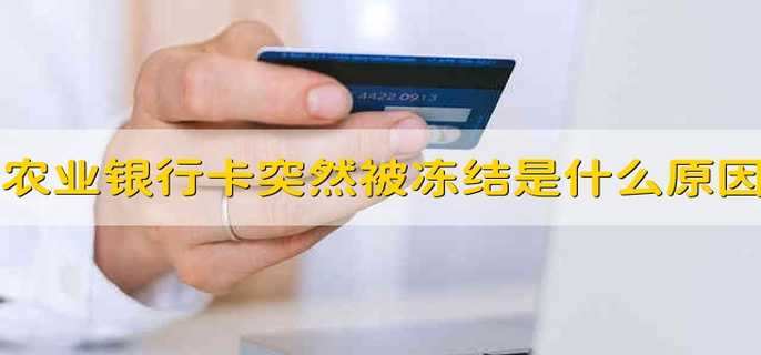 农业银行卡突然被冻结是什么原因
