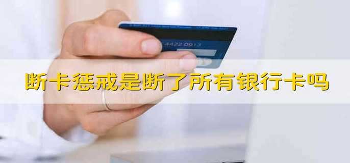 断卡惩戒是一次性断了所有银行卡吗