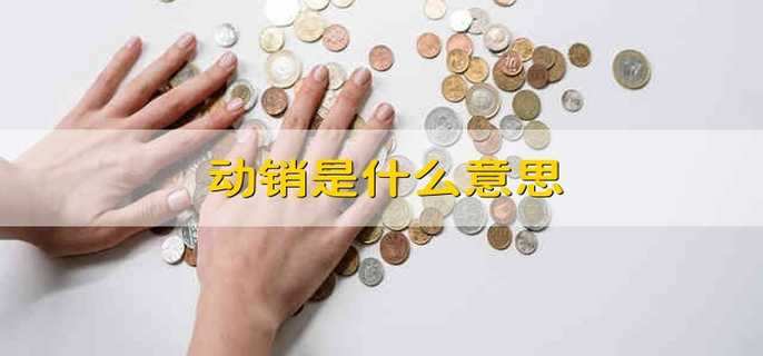 动销是什么意思