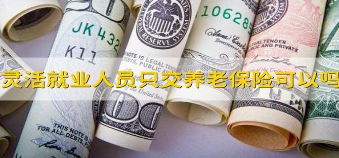灵活就业人员只交养老保险可以吗