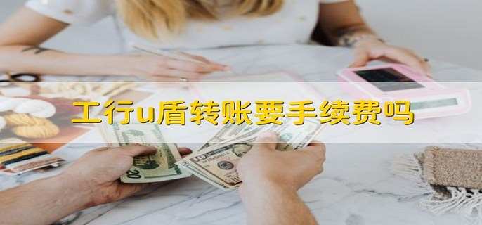 工行u盾转账要手续费吗