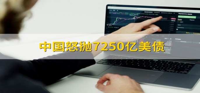 中国怒抛7250亿美债