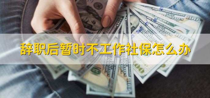 辞职后暂时不工作社保怎么办