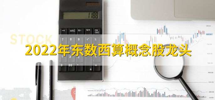 2022年东数西算概念股龙头,十大龙头股一览
