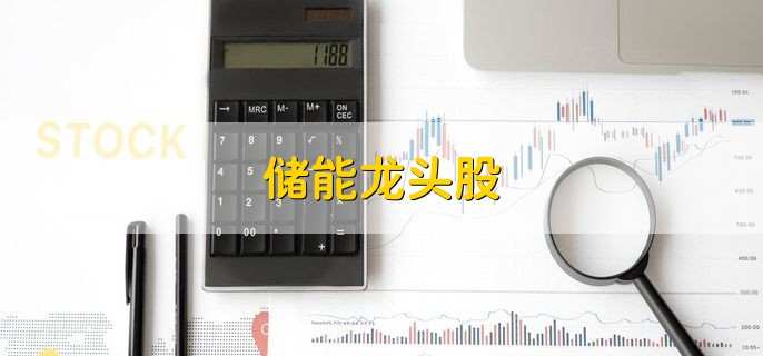 储能龙头股