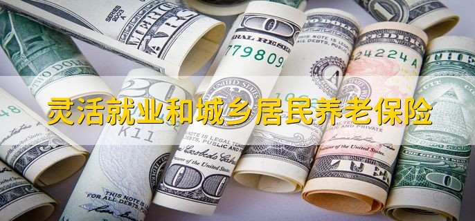 灵活就业养老保险和城乡居民养老保险